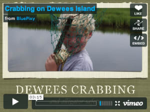 deweesisland-crabbingvideopreview Click Image to Watch Dewees Island Crabbing Video